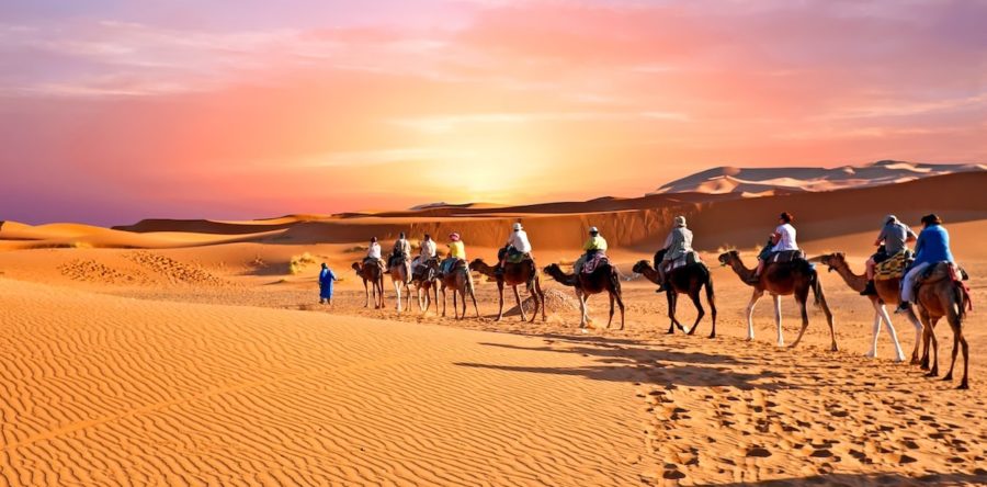 El arte y la tradición de las monturas para camellos y dromedarios en Marruecos