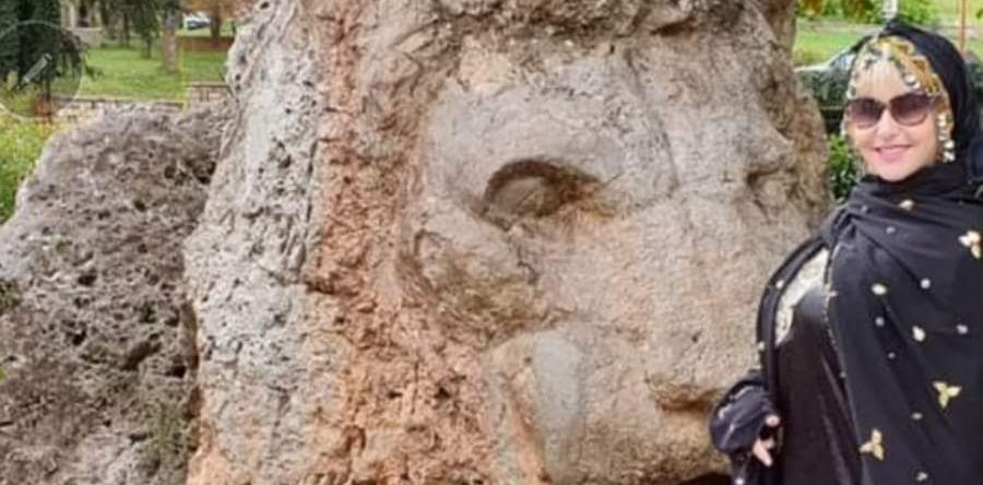 Conocen el León de Ifrane?